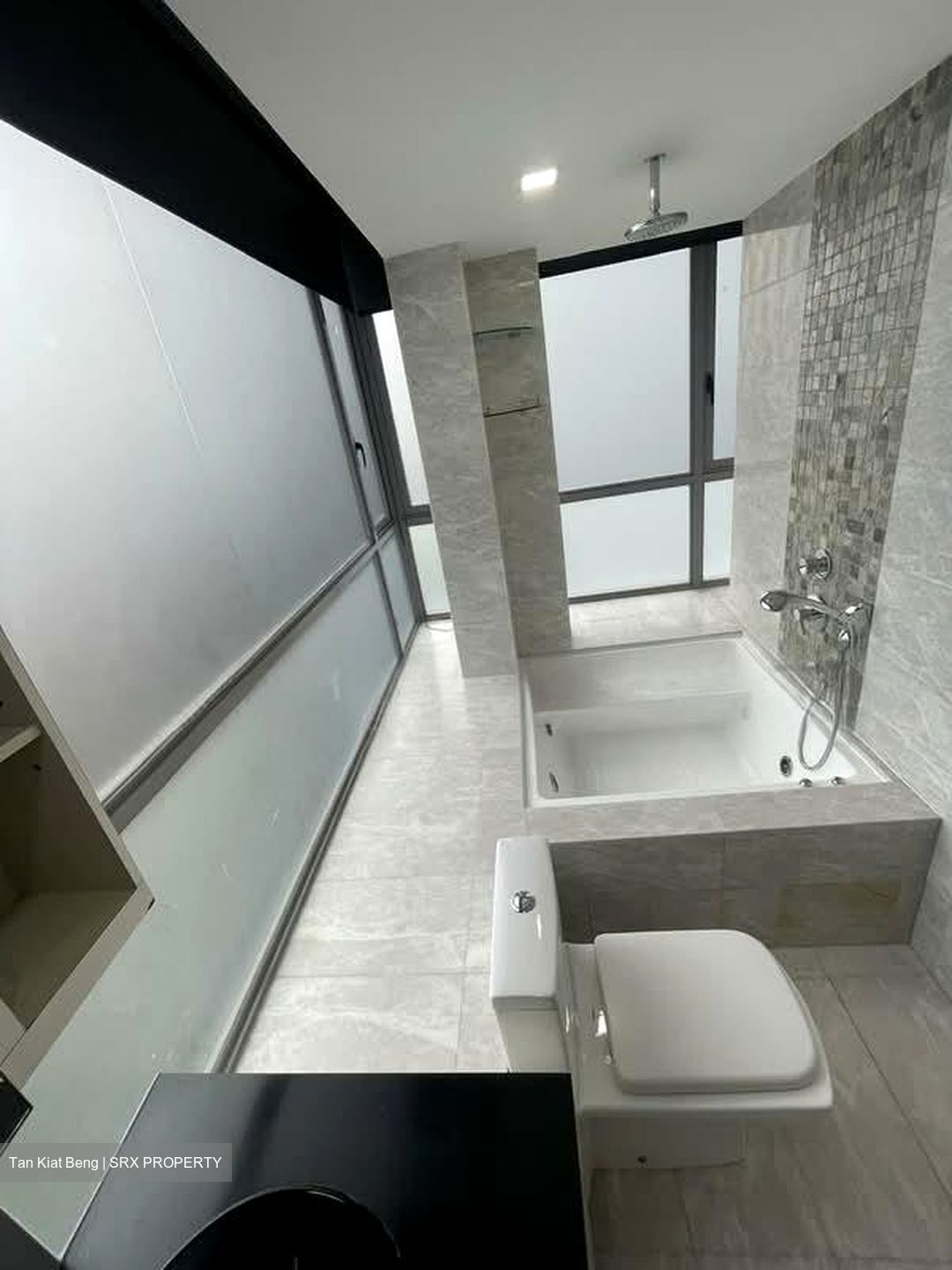 Angullia Park Residences @ Orchard (D10), Apartment #566142001